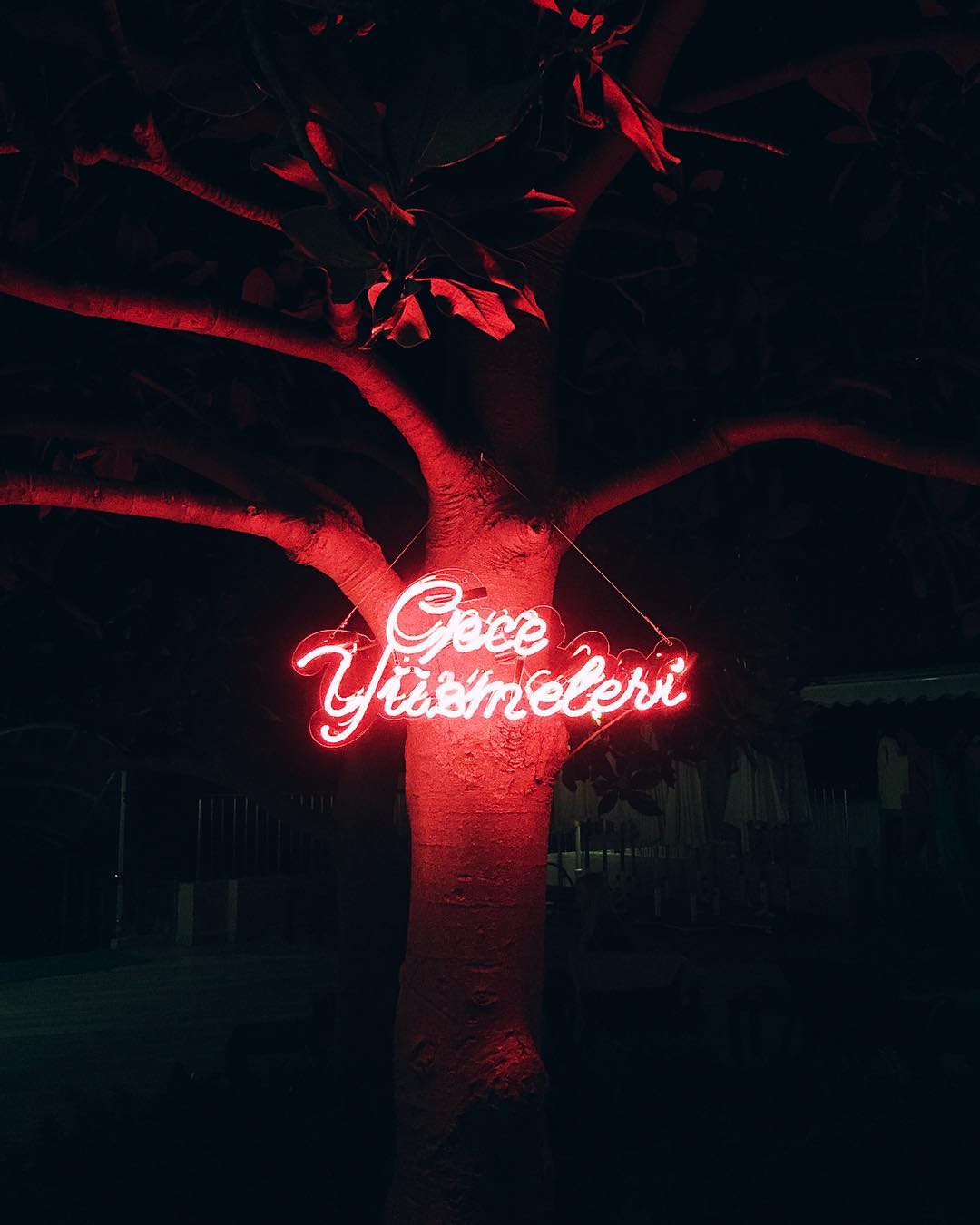 The original Gece Yüzmeleri neon identity installed in place